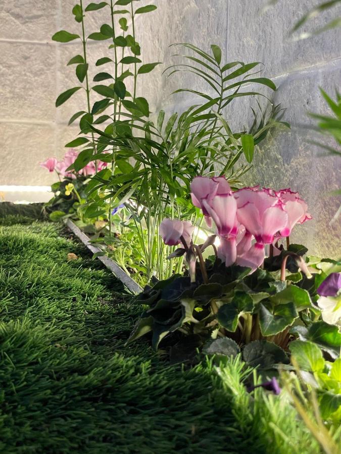 Careggi Top House 2 Floransa Dış mekan fotoğraf